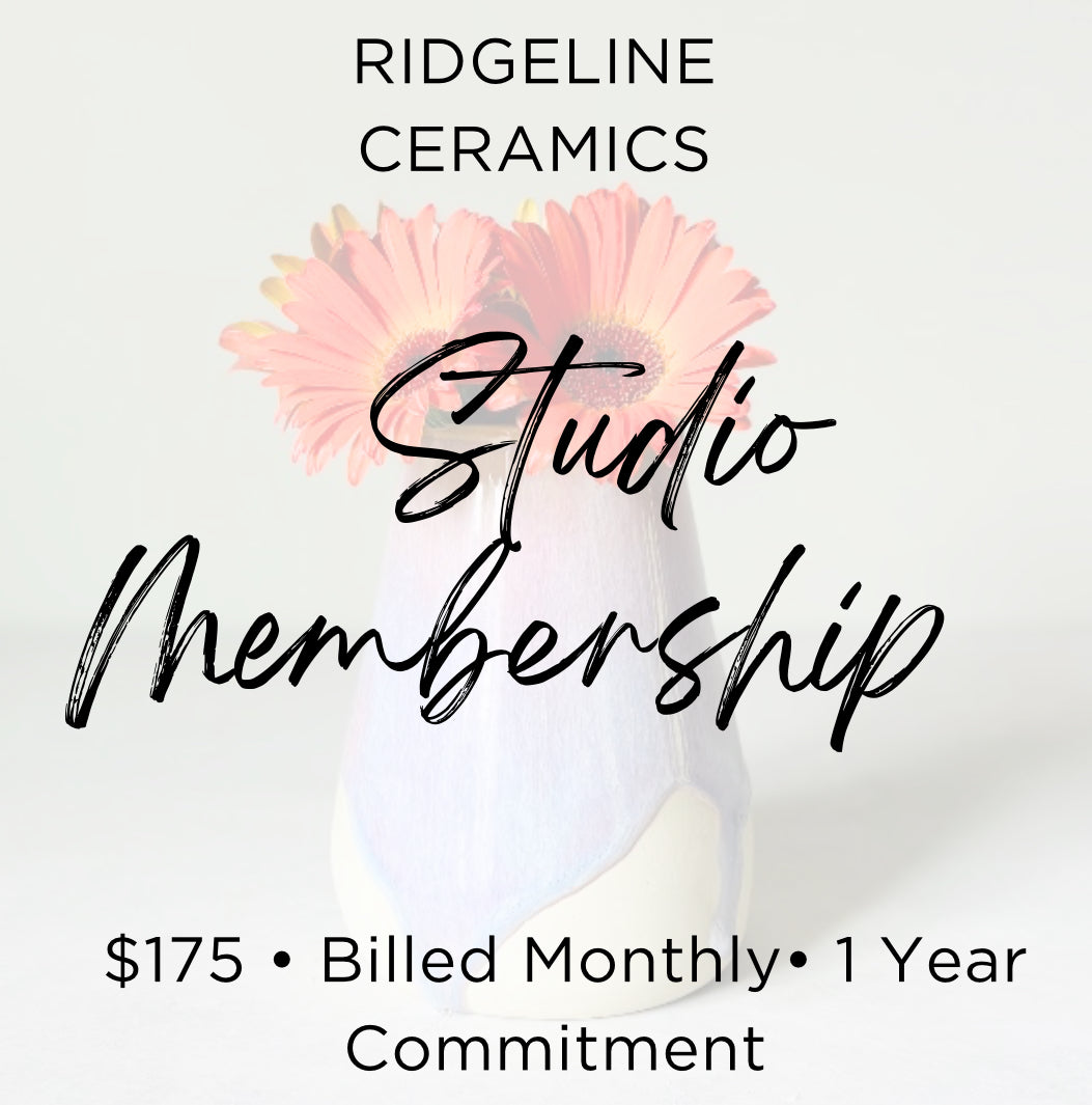 1 Year Studio Membership Billed Monthly