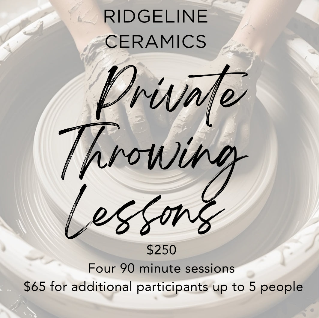 Private Throwing Lesson 90 Minute Session - 4 Sessions