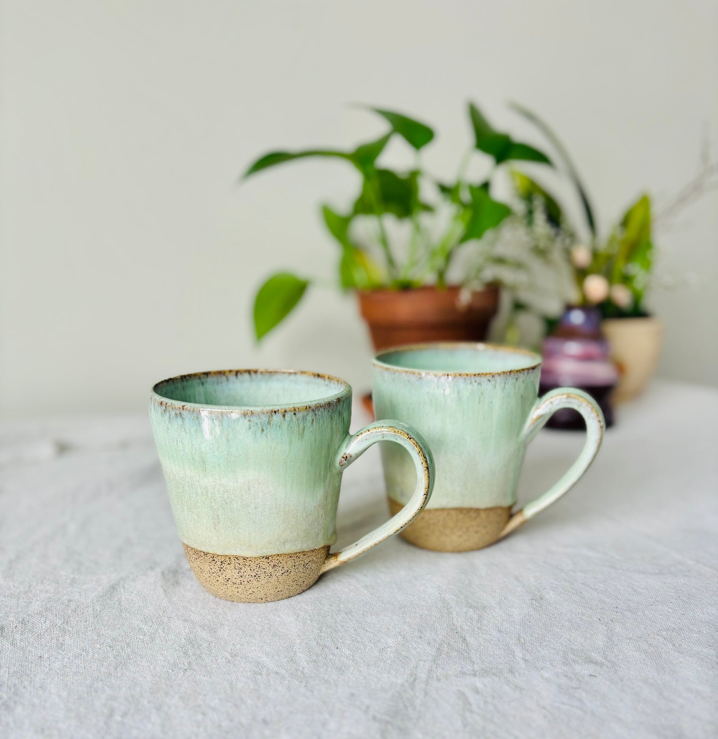 Soft Sage Mug in Brown Speckled Stoneware(15 fl oz)