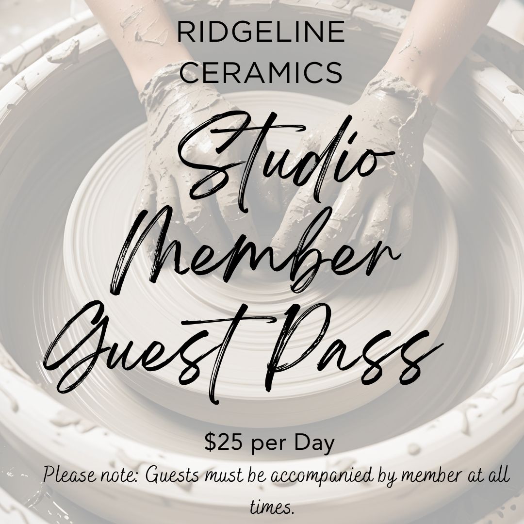 Studio Member Guest or Day Pass