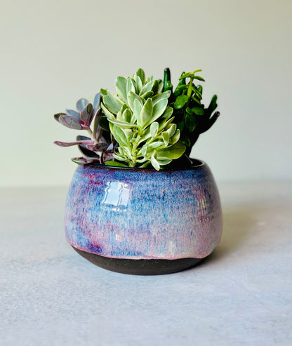 Shallow Bowl or Succulent Planter in Summer Berry