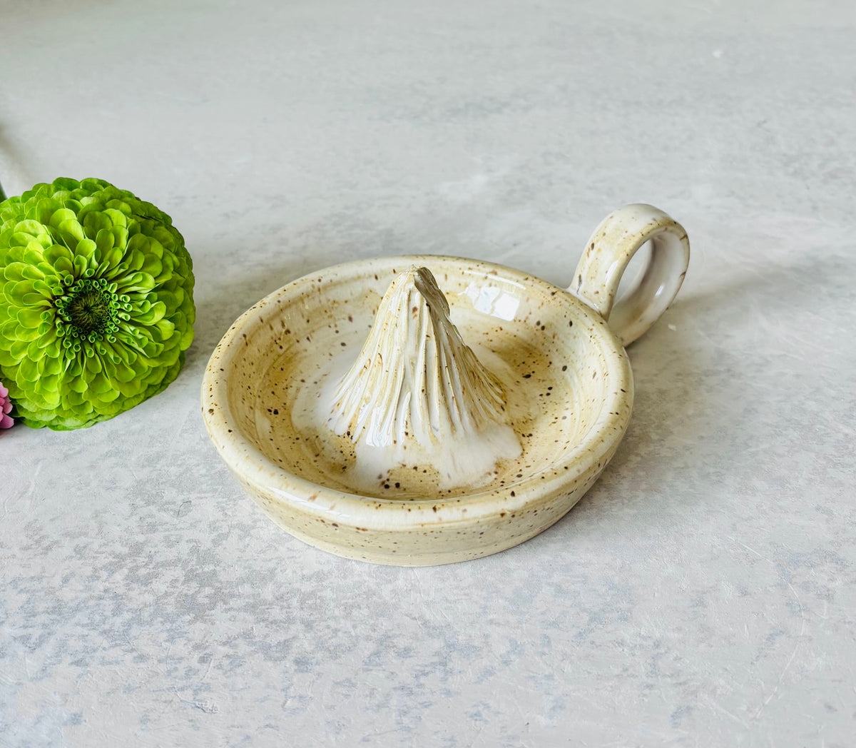 Citrus Juicer in Speckled Cream