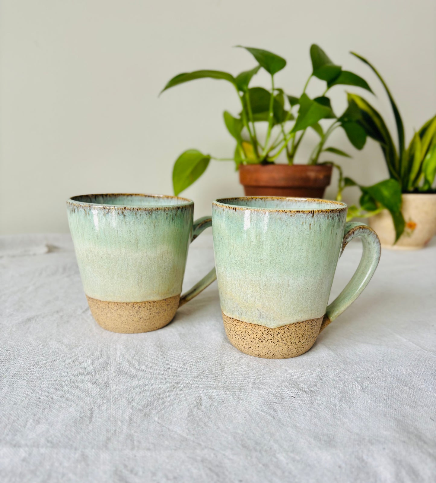 Soft Sage Mug in Brown Speckled Stoneware(15 fl oz)