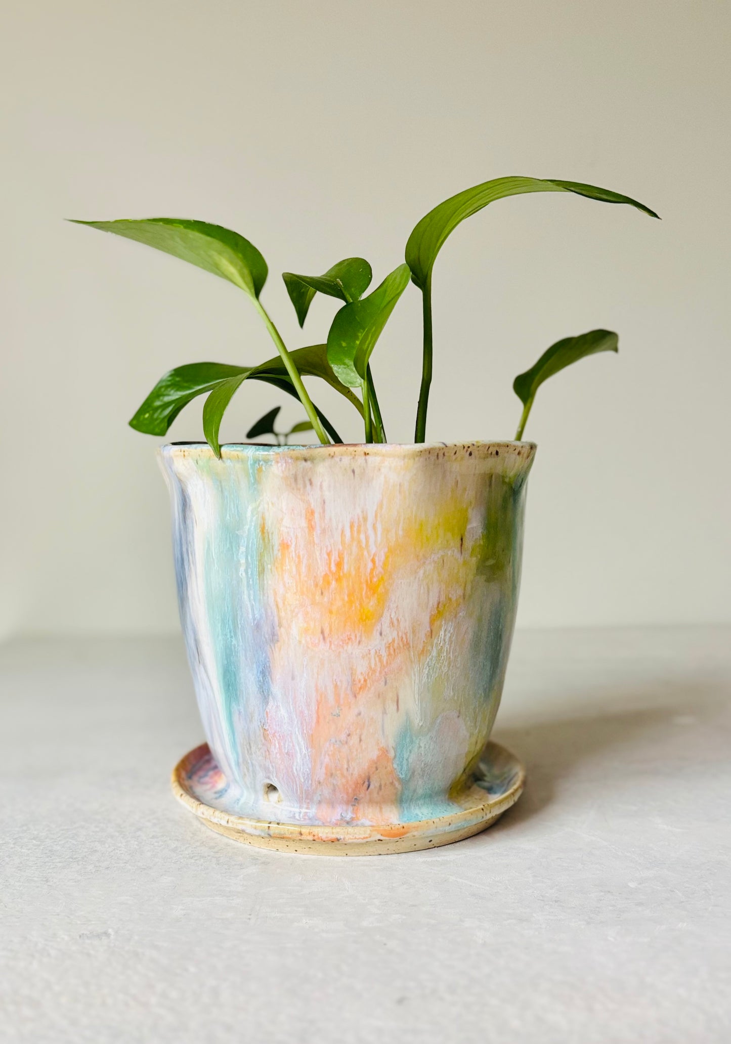 Radiant Rainbow Scalloped Planter