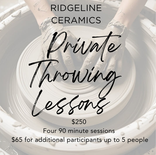 Private Throwing Lesson 90 Minute Session - 4 Sessions