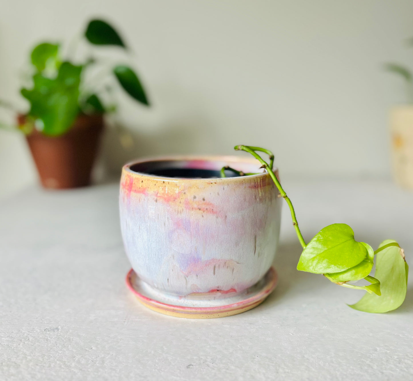 Soft Pink Bubble Planter Holder