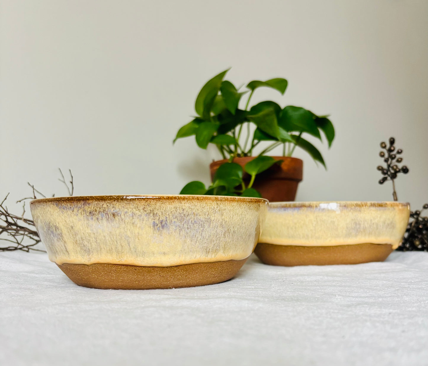 Toasted Honey Cream Blate Set (3 cup capacity)