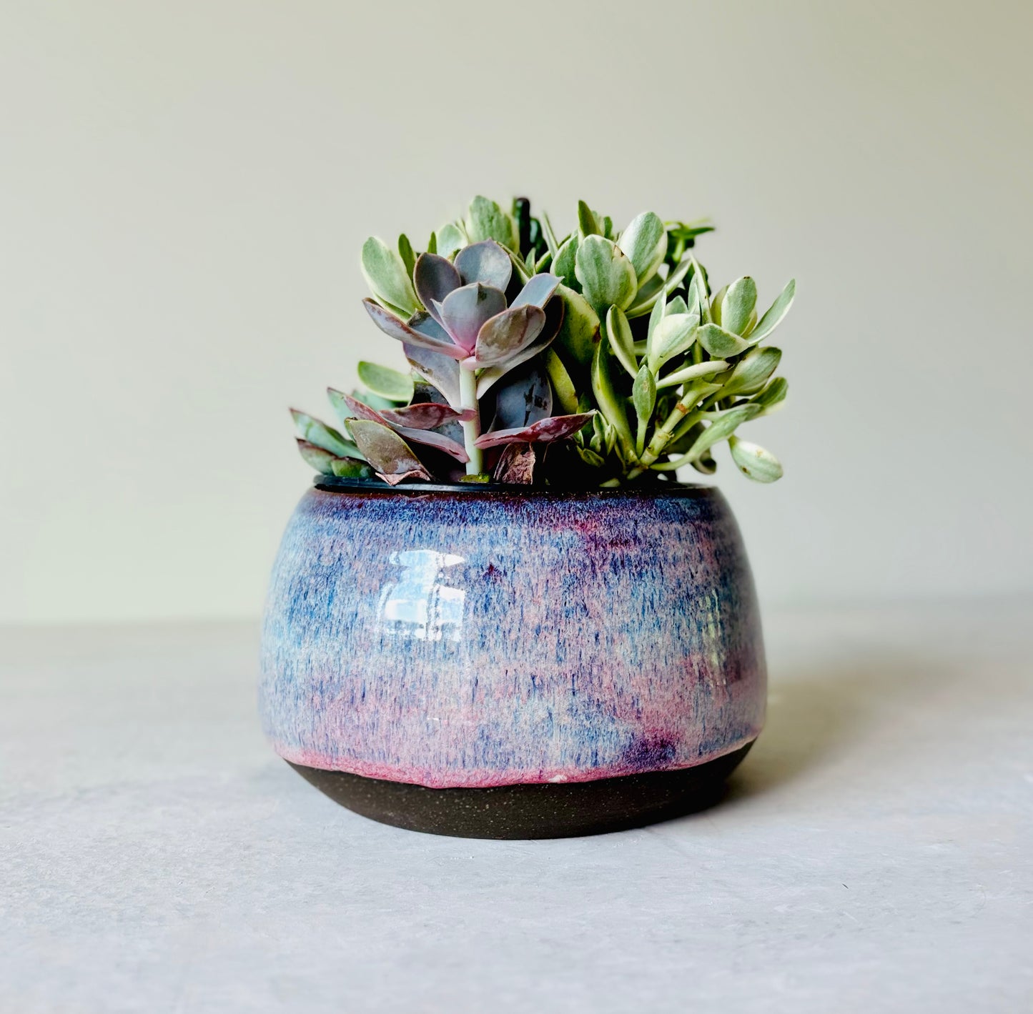 Shallow Bowl or Succulent Planter in Summer Berry