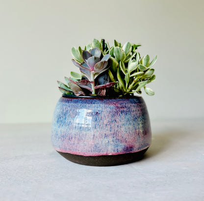 Shallow Bowl or Succulent Planter in Summer Berry