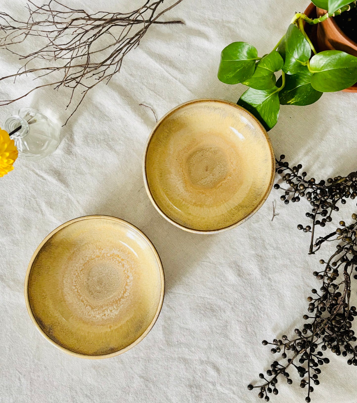 Toasted Honey Cream Blate Set (3 cup capacity)