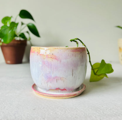 Soft Pink Bubble Planter Holder