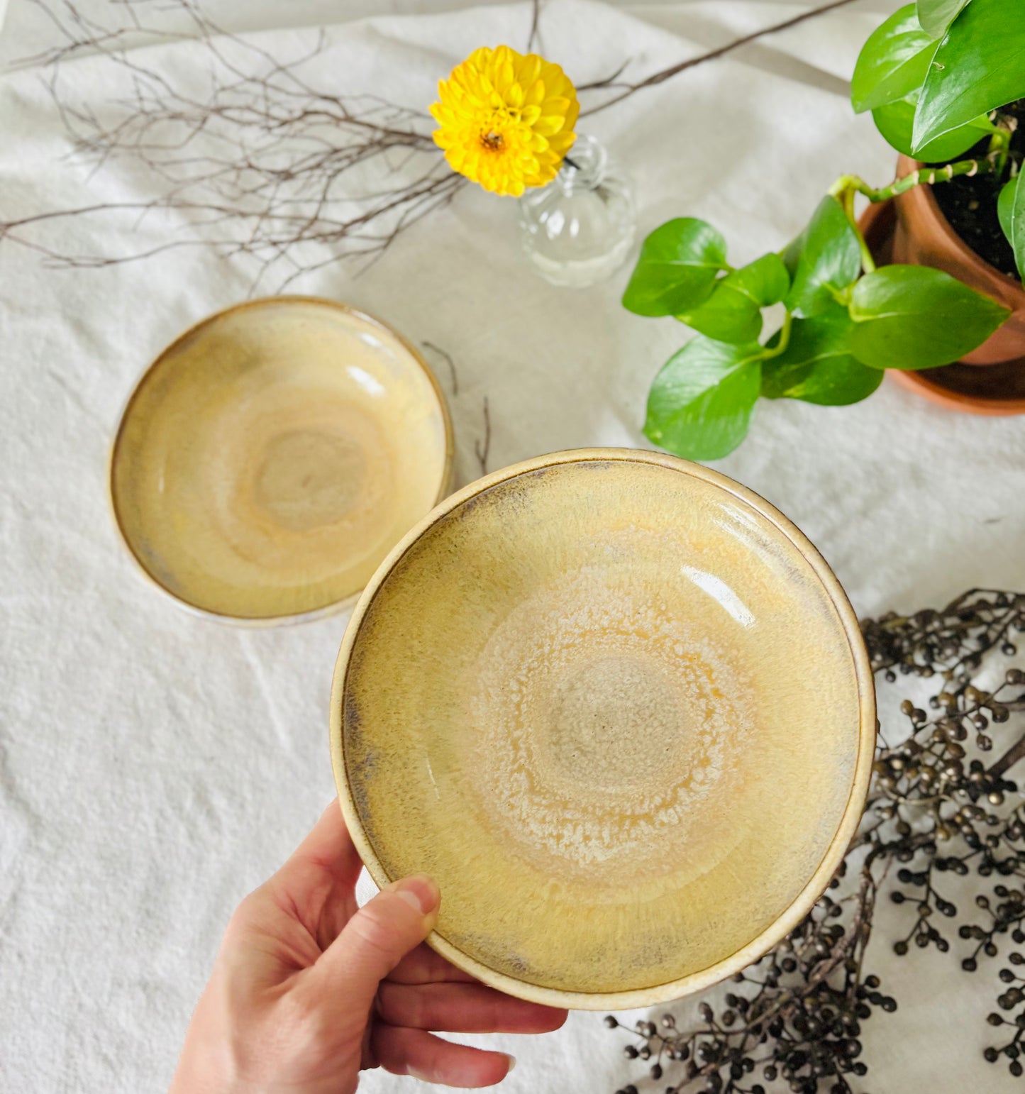 Toasted Honey Cream Blate Set (3 cup capacity)