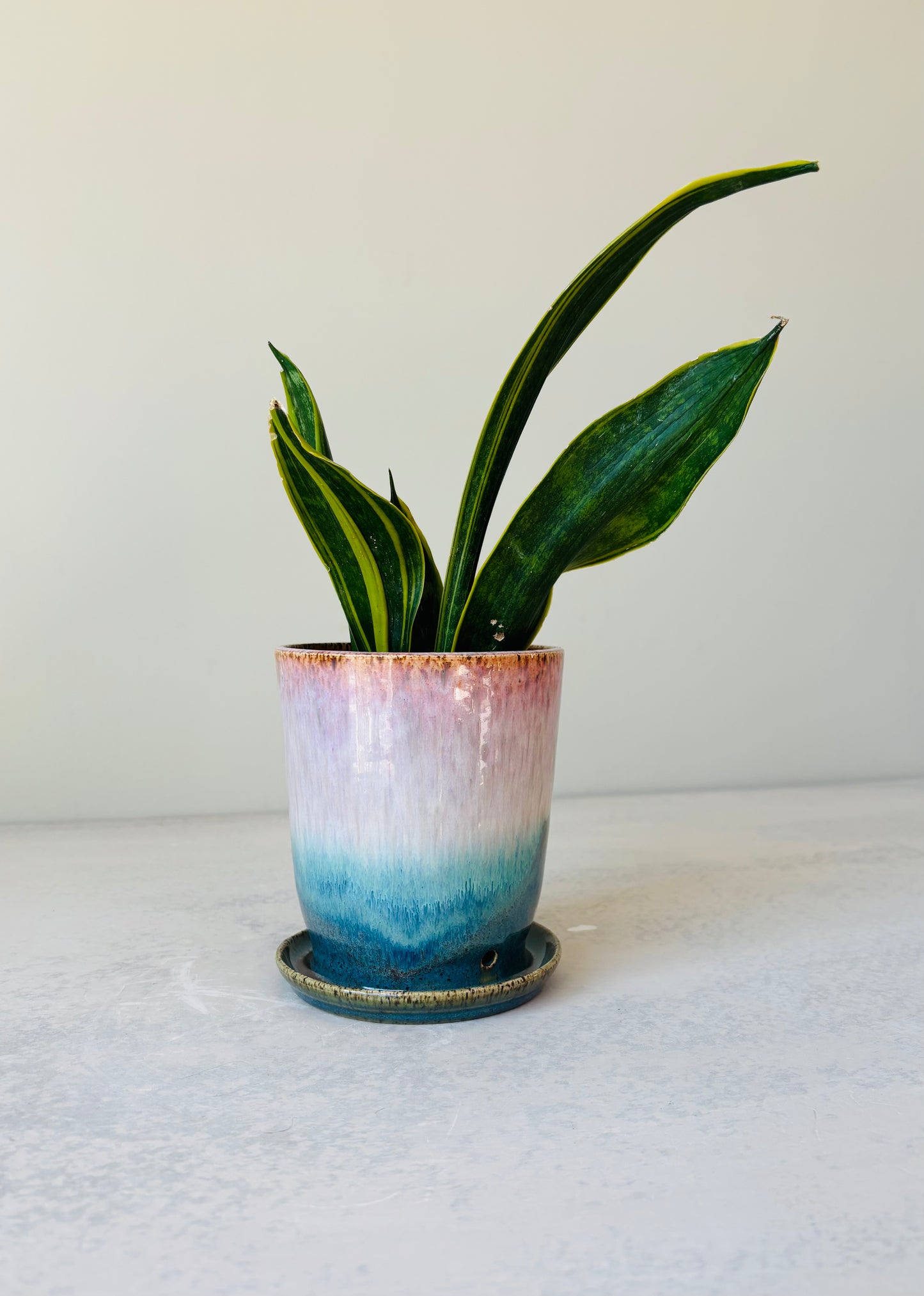 Throwing a Planter on the Potter's Wheel & Glaze Decorating 3-part Workshop