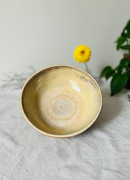 Toasted Honey Cream Blate Set (3 cup capacity)