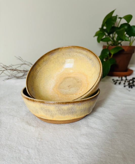 Toasted Honey Cream Blate Set (3 cup capacity)