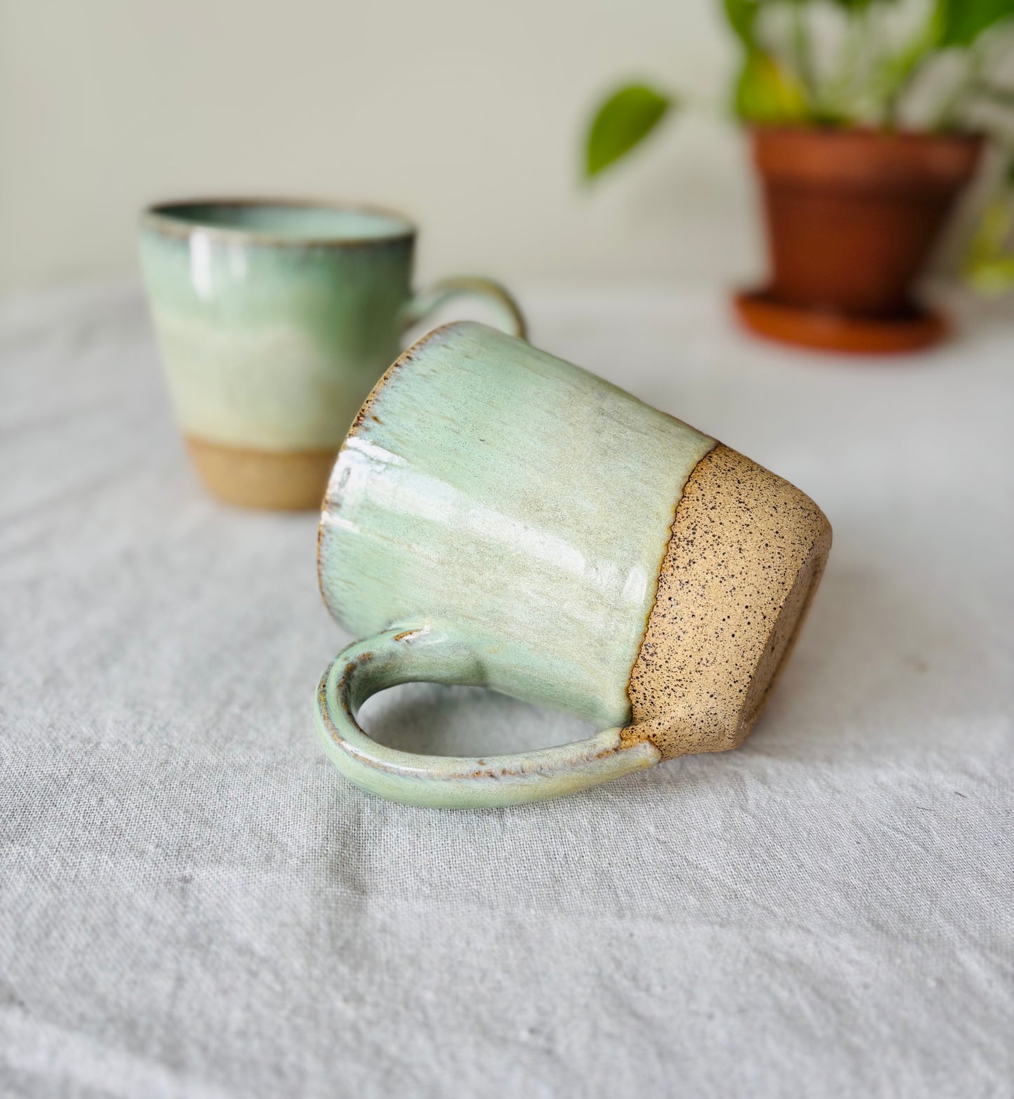 Soft Sage Mug in Brown Speckled Stoneware(15 fl oz)