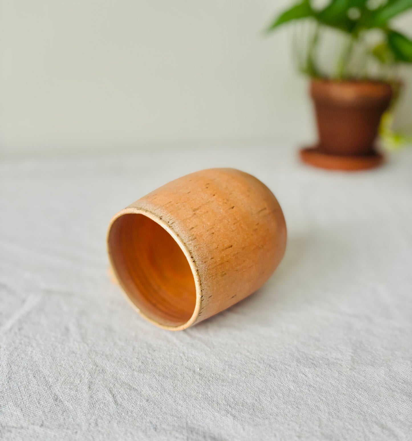 Recycled Clay Matte Orange Mug