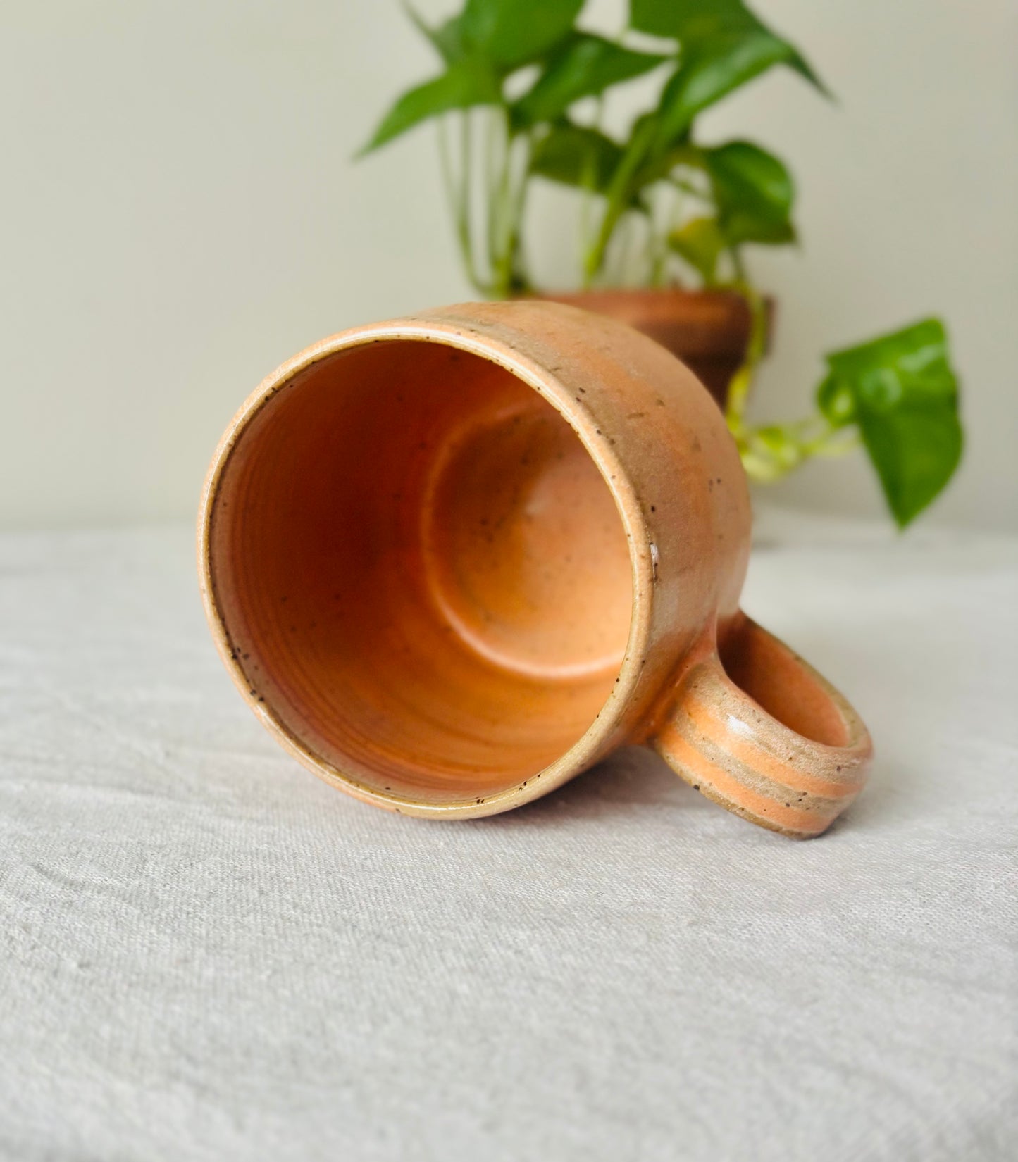 Recycled Clay Matte Orange Mug