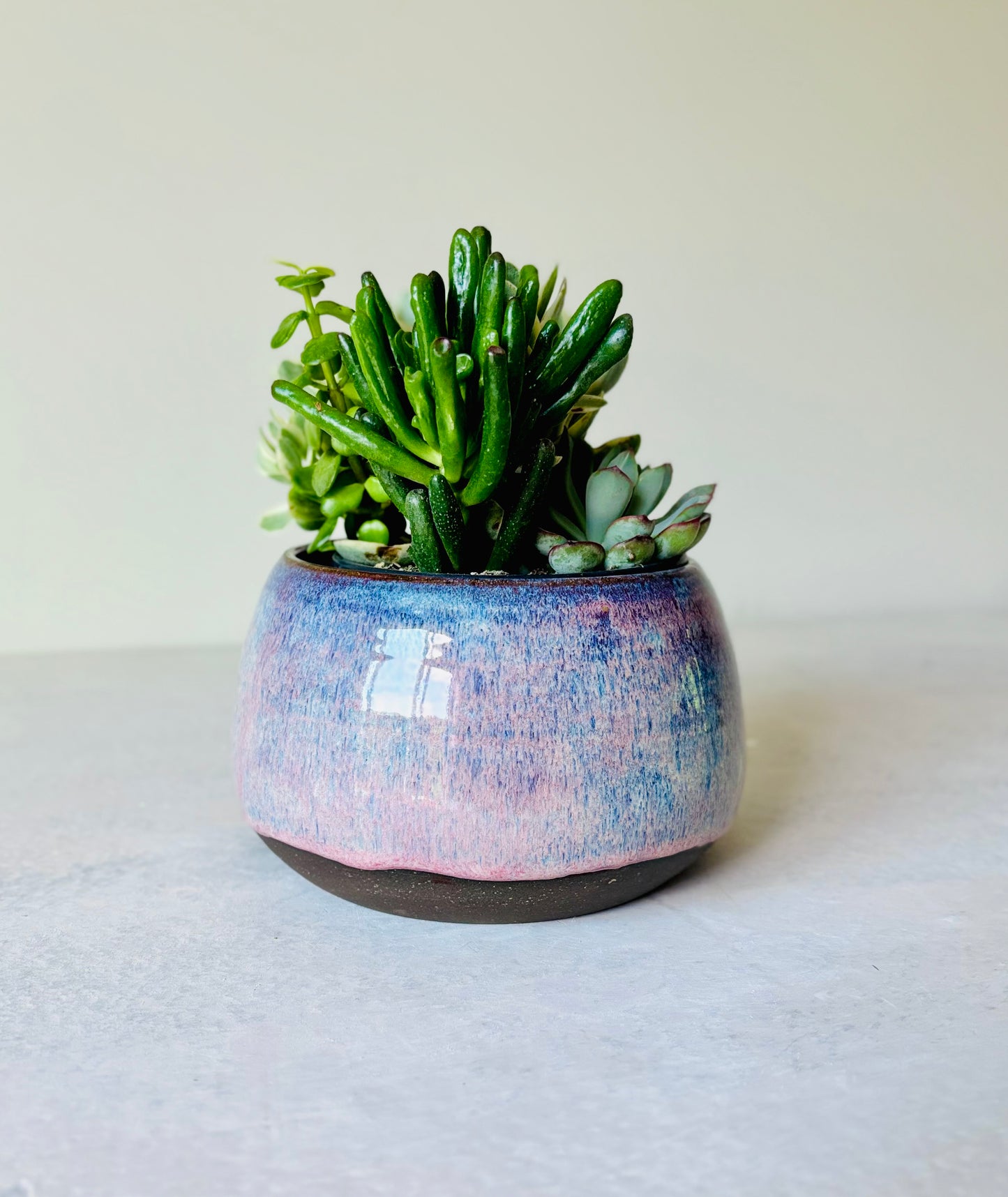 Shallow Bowl or Succulent Planter in Summer Berry