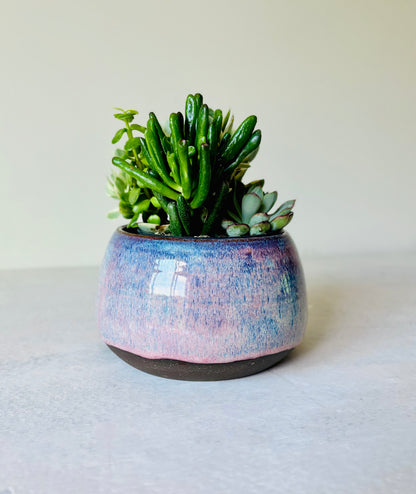 Shallow Bowl or Succulent Planter in Summer Berry