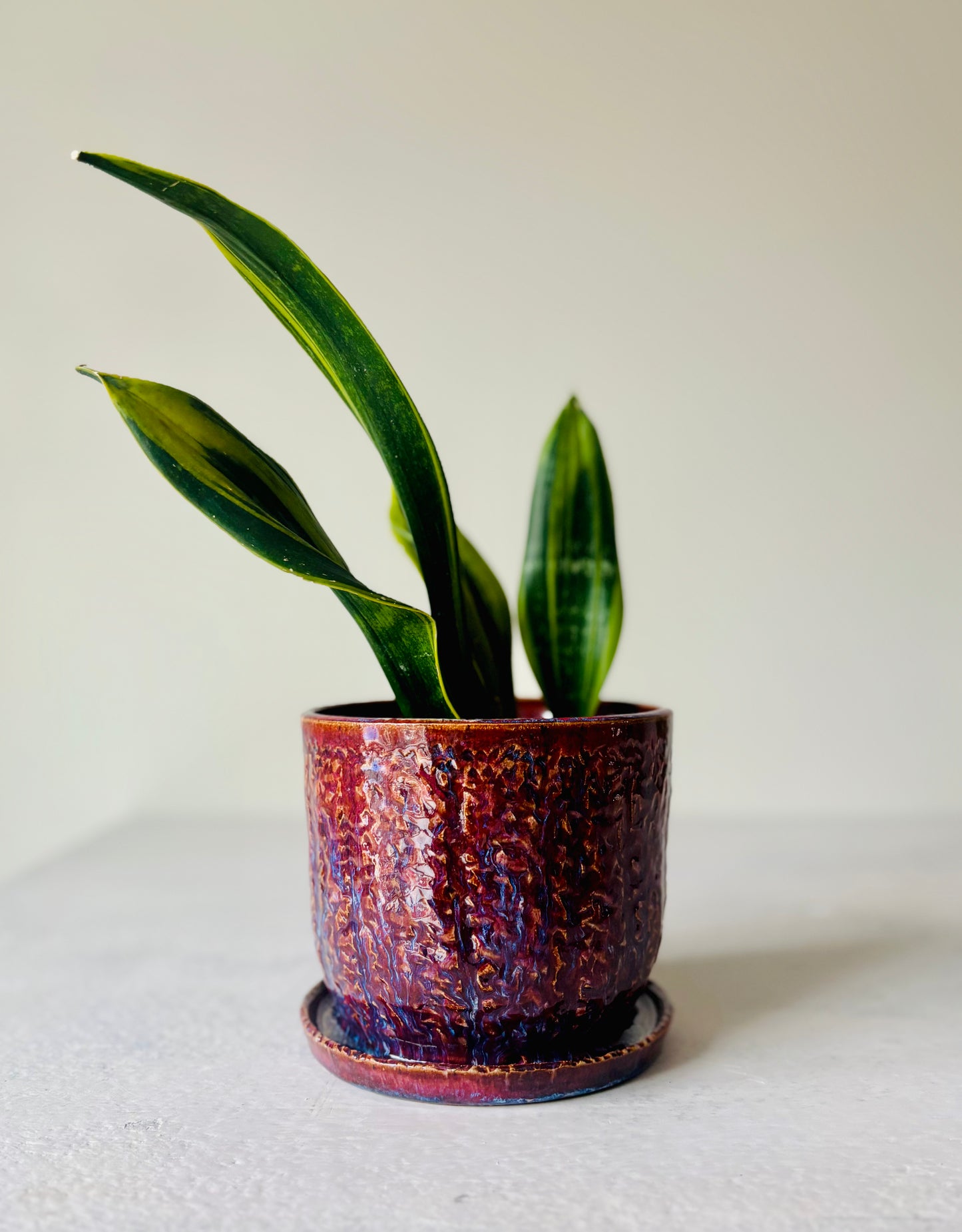 Throwing a Planter on the Potter's Wheel & Glaze Decorating 3-part Workshop