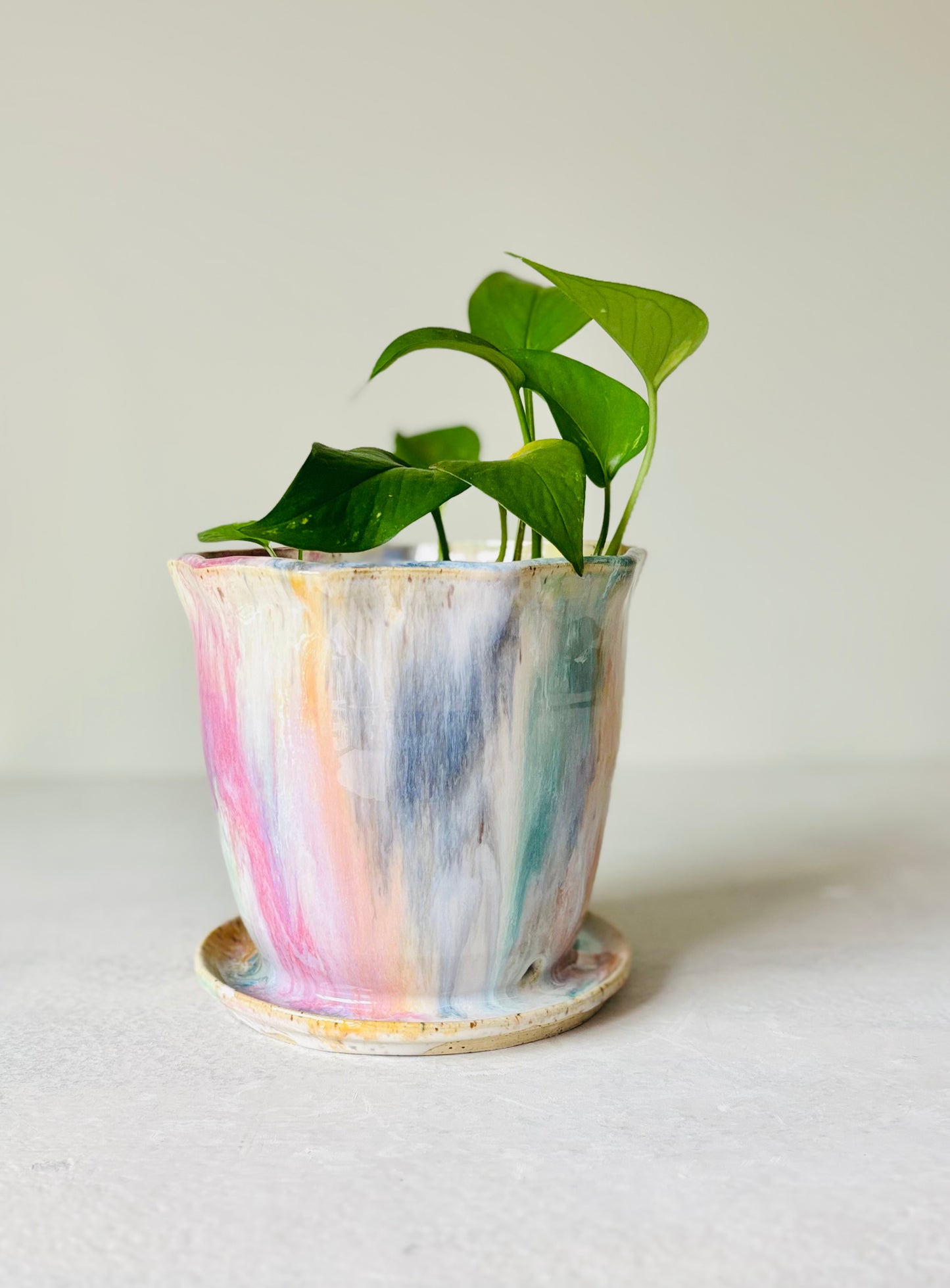 Radiant Rainbow Scalloped Planter