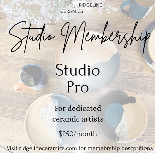 Studio Pro Membership Billed Monthly Wait List for June 1 Start