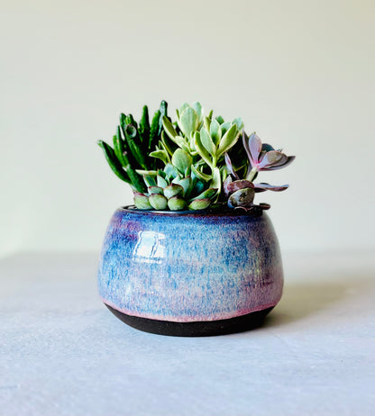 Shallow Bowl or Succulent Planter in Summer Berry