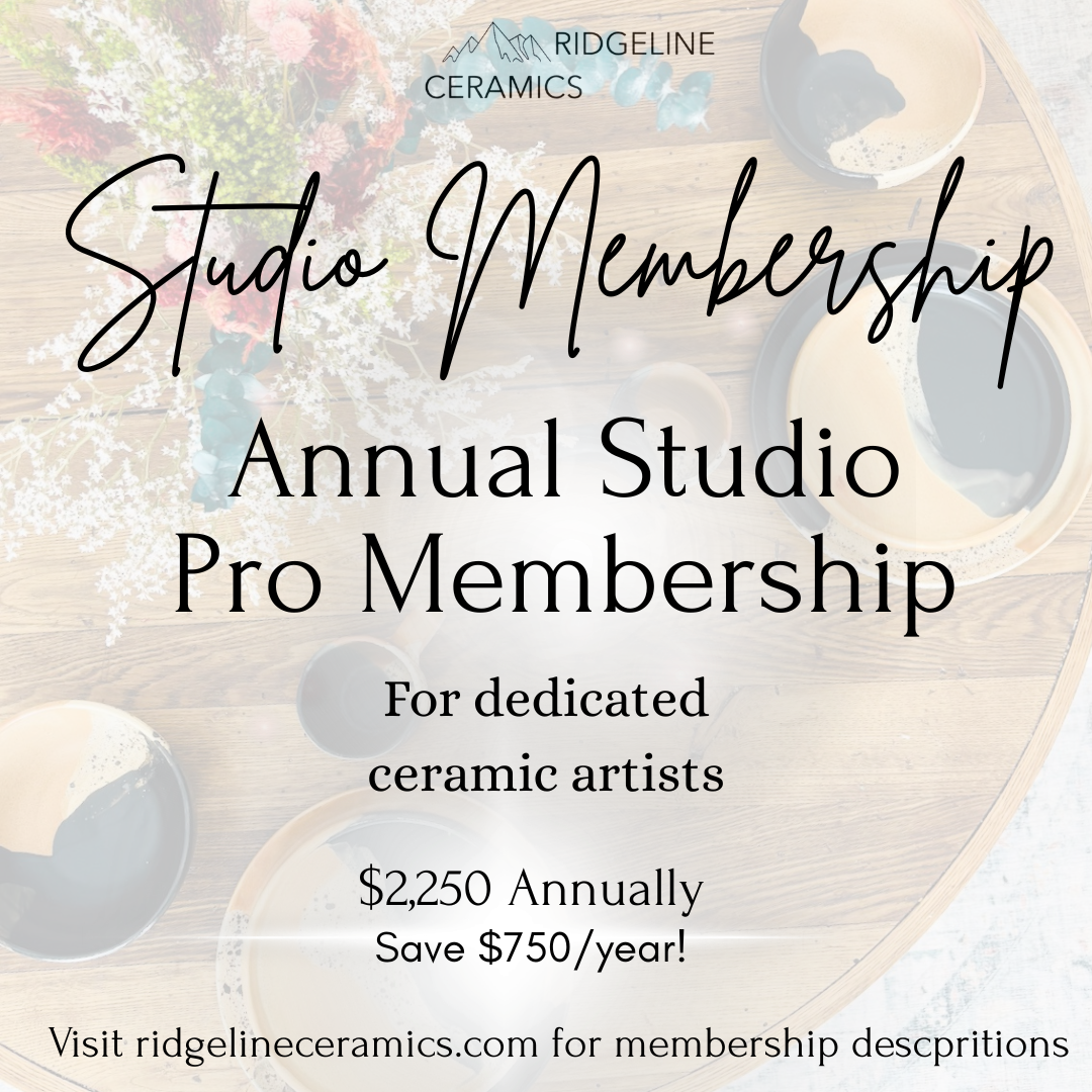 Studio Pro Membership Billed Yearly Special Anniversary Rate