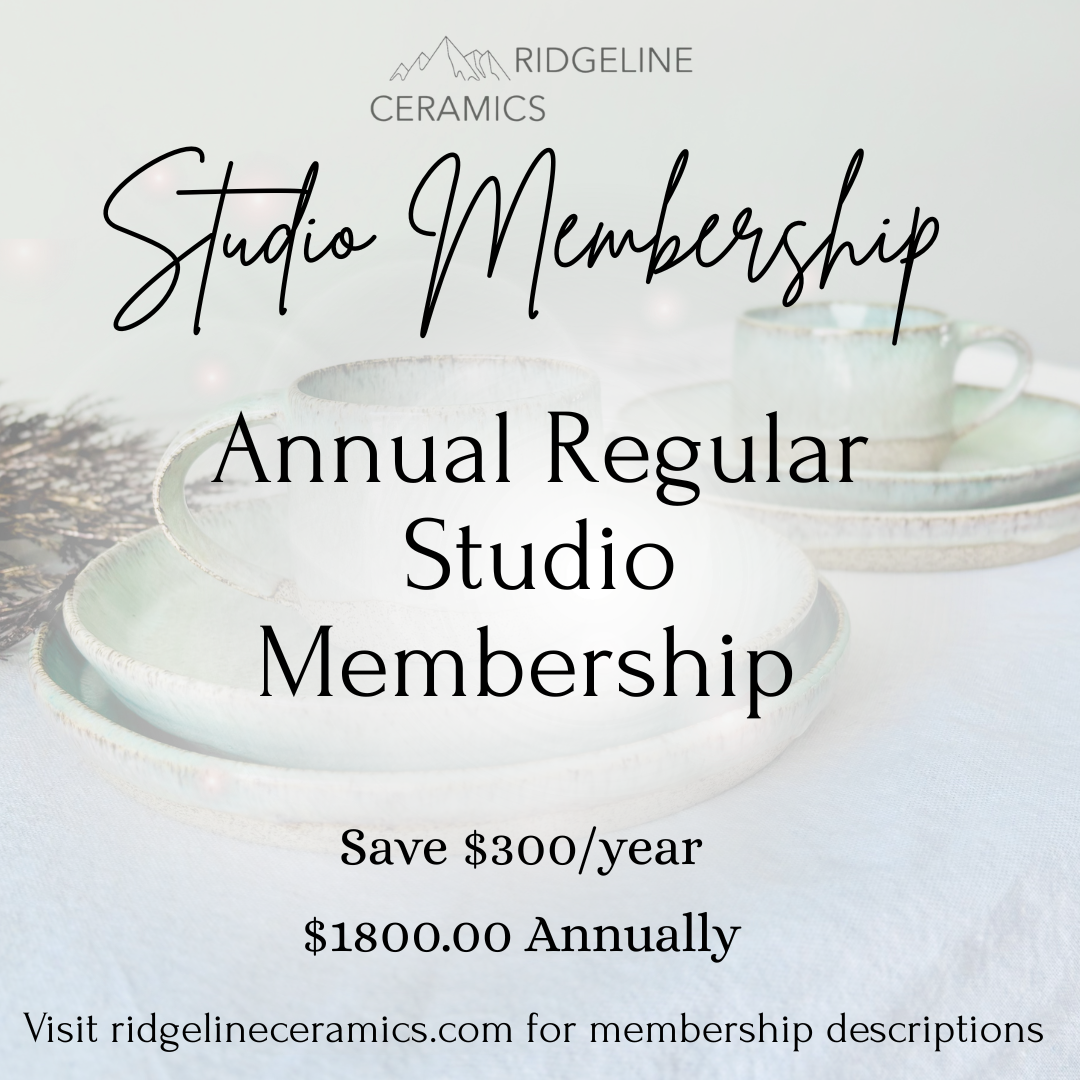 Regular Studio Membership Billed Yearly