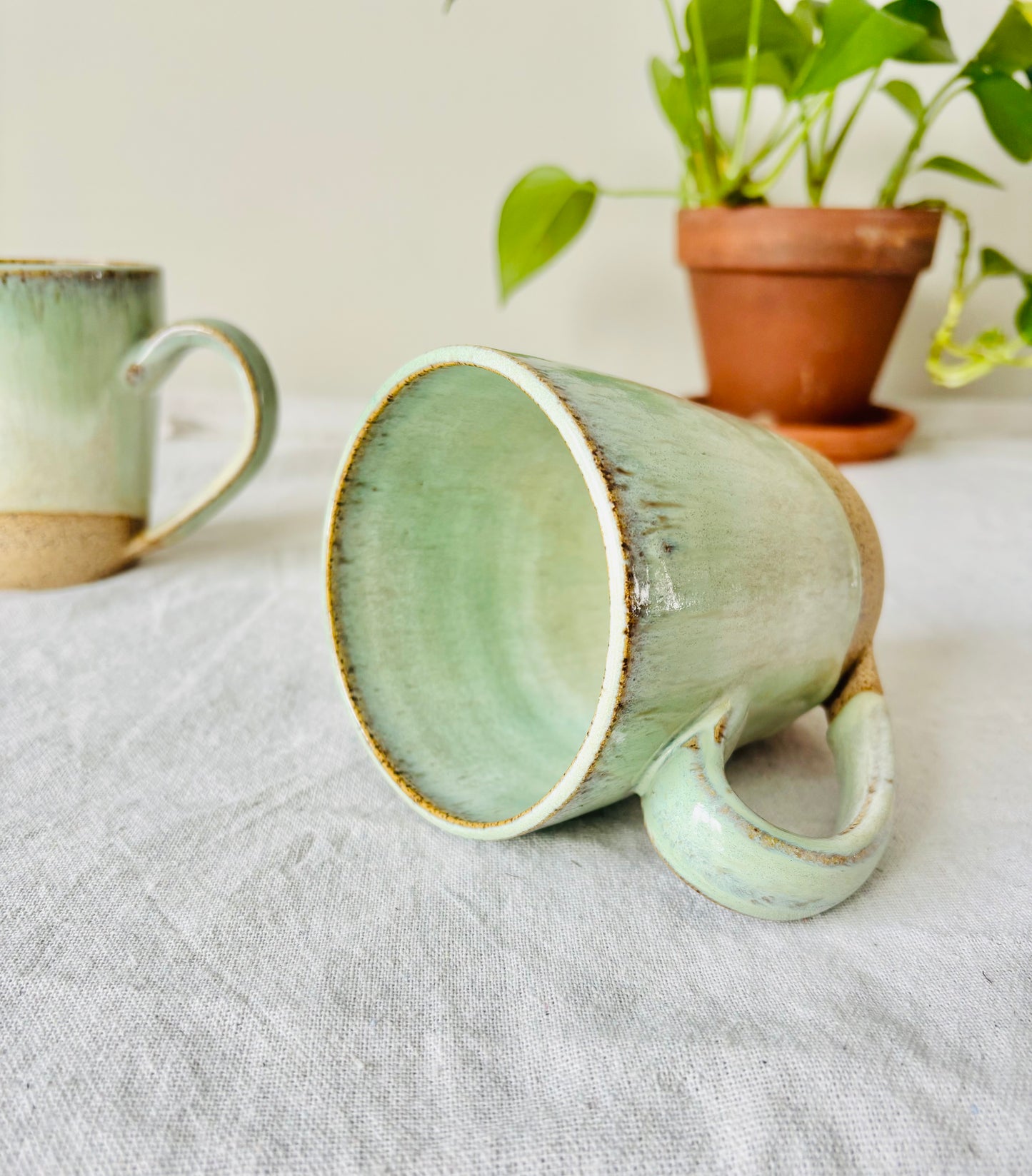 Soft Sage Mug in Brown Speckled Stoneware(15 fl oz)