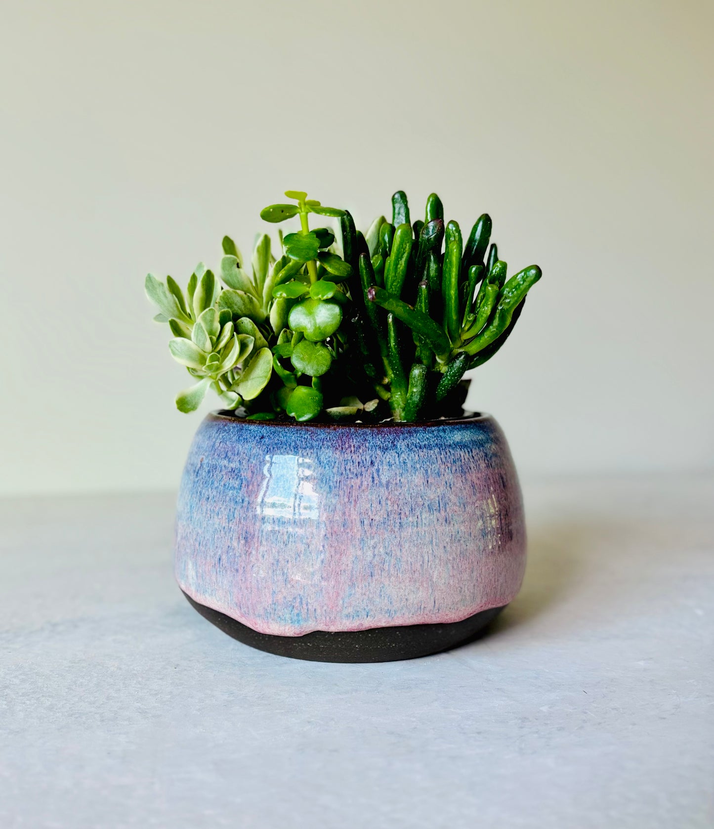 Shallow Bowl or Succulent Planter in Summer Berry