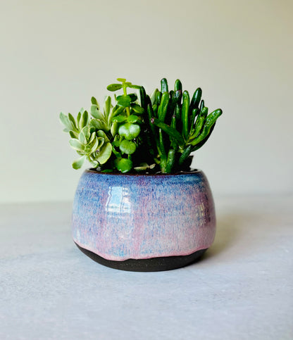 Shallow Bowl or Succulent Planter in Summer Berry