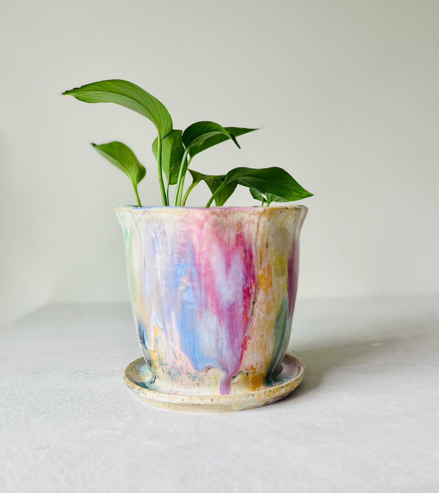 Radiant Rainbow Scalloped Planter