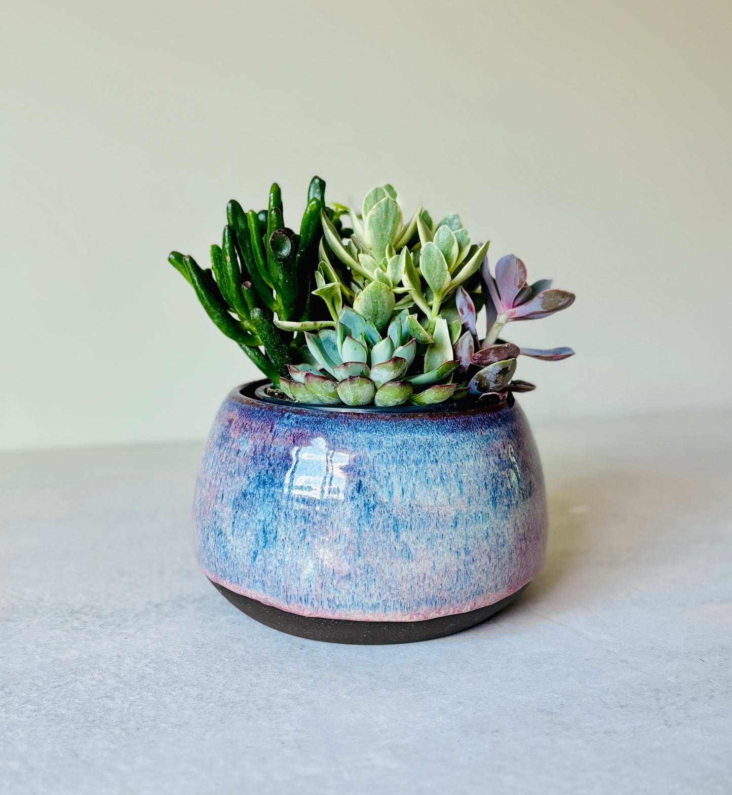 Shallow Bowl or Succulent Planter in Summer Berry