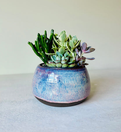 Shallow Bowl or Succulent Planter in Summer Berry