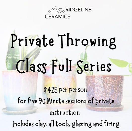 Private Throwing Class (4 people max)