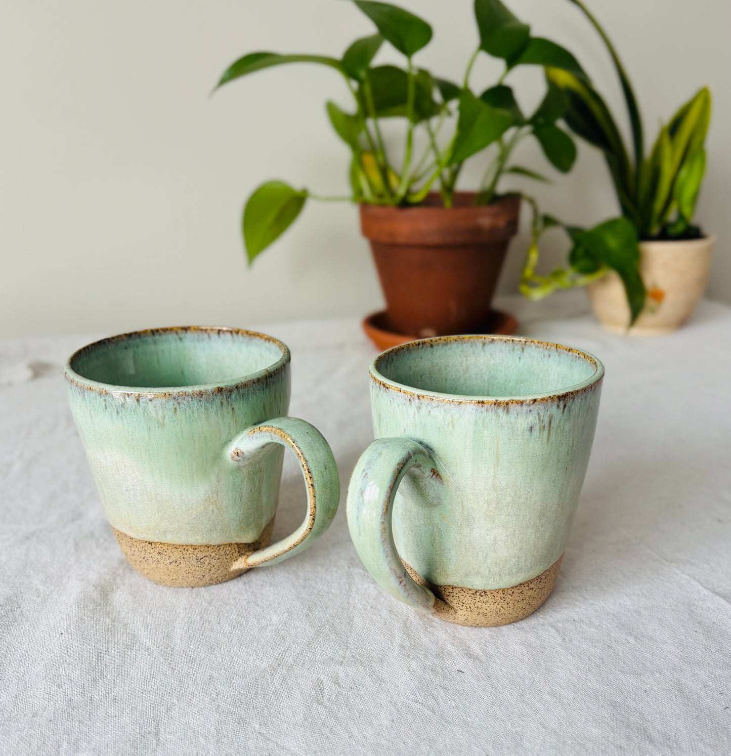 Soft Sage Mug in Brown Speckled Stoneware(15 fl oz)