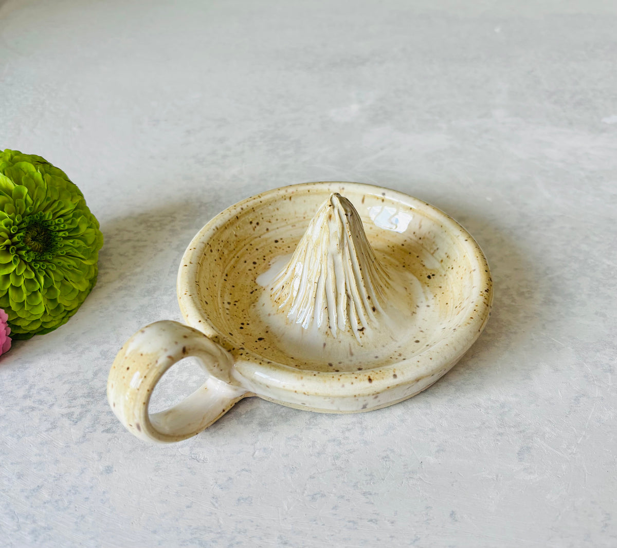 Citrus Juicer in Speckled Cream