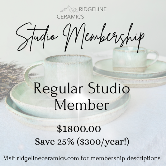 Regular Studio Membership Billed Yearly SAVE 25%!
