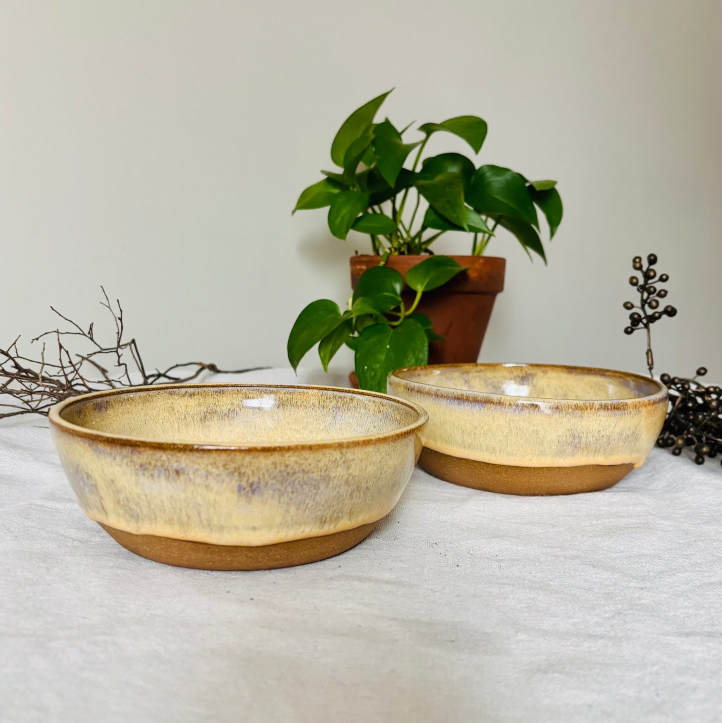 Toasted Honey Cream Blate Set (3 cup capacity)