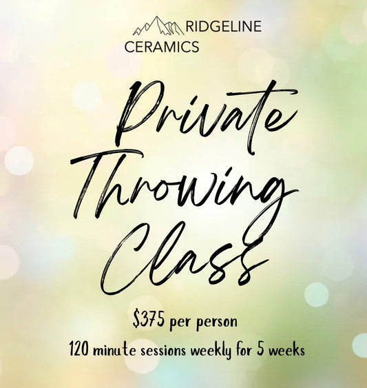 Private Throwing Class (6 people max)