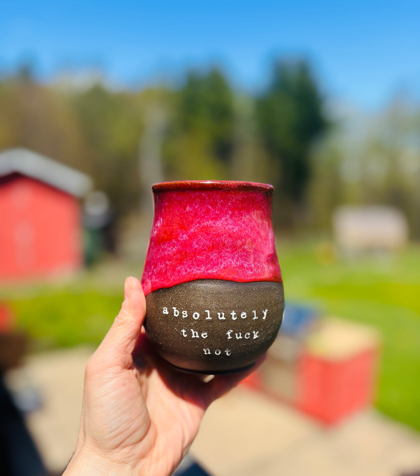 Pre-Order: Absolutely the Fuck Not Mug Hot Cherry Glaze on Black Clay (10-12 weeks)