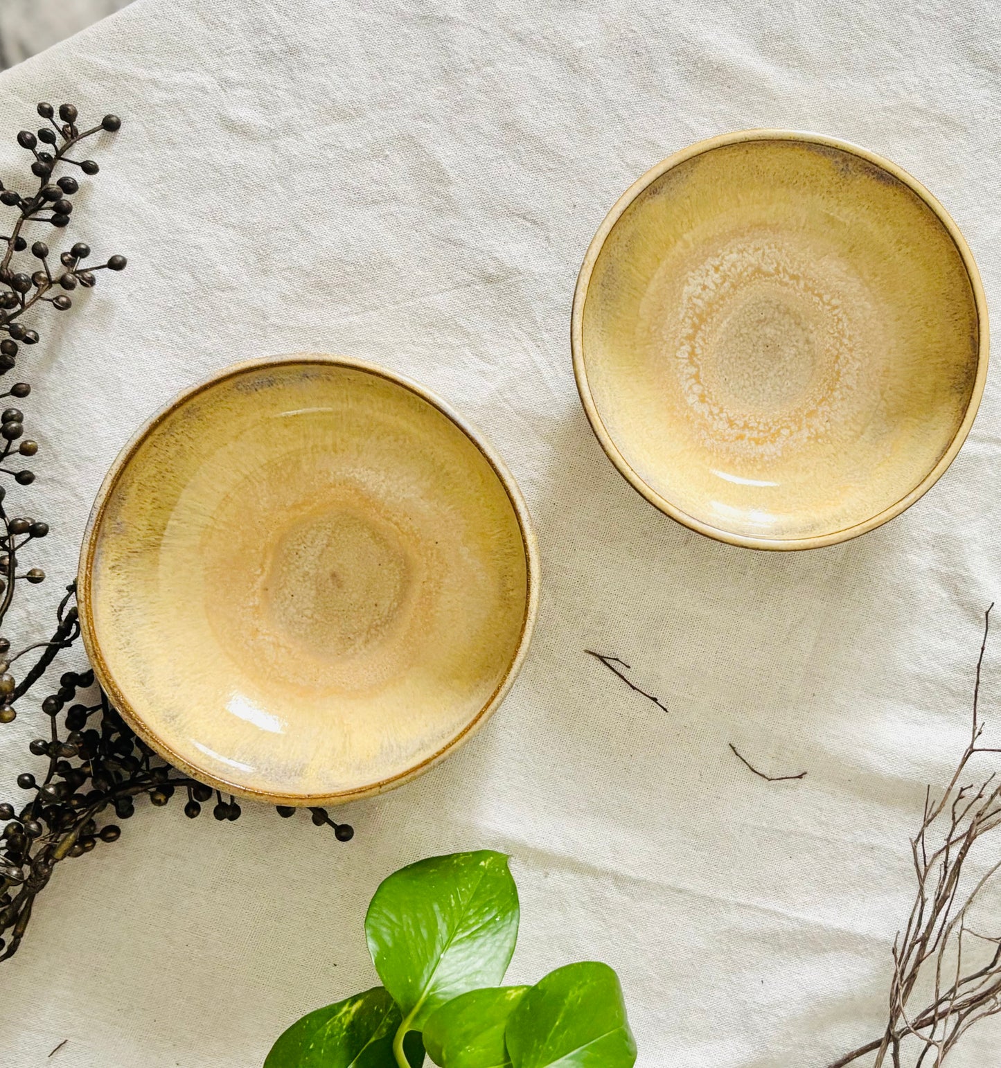 Toasted Honey Cream Blate Set (3 cup capacity)