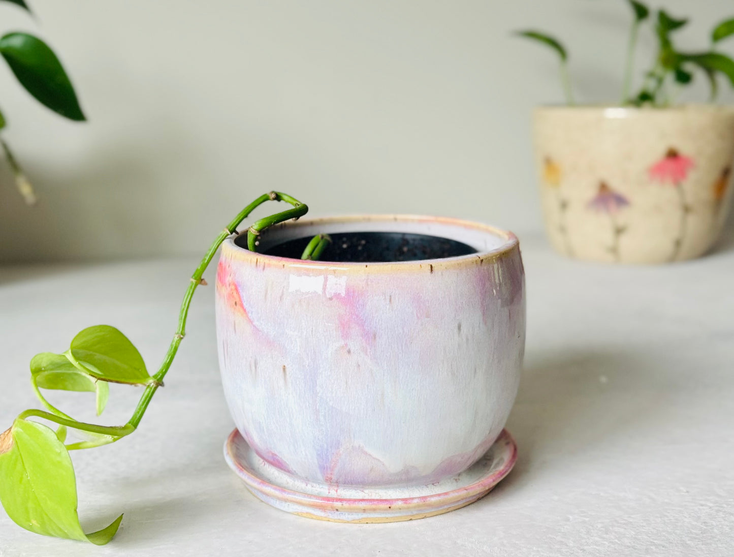 Soft Pink Bubble Planter Holder