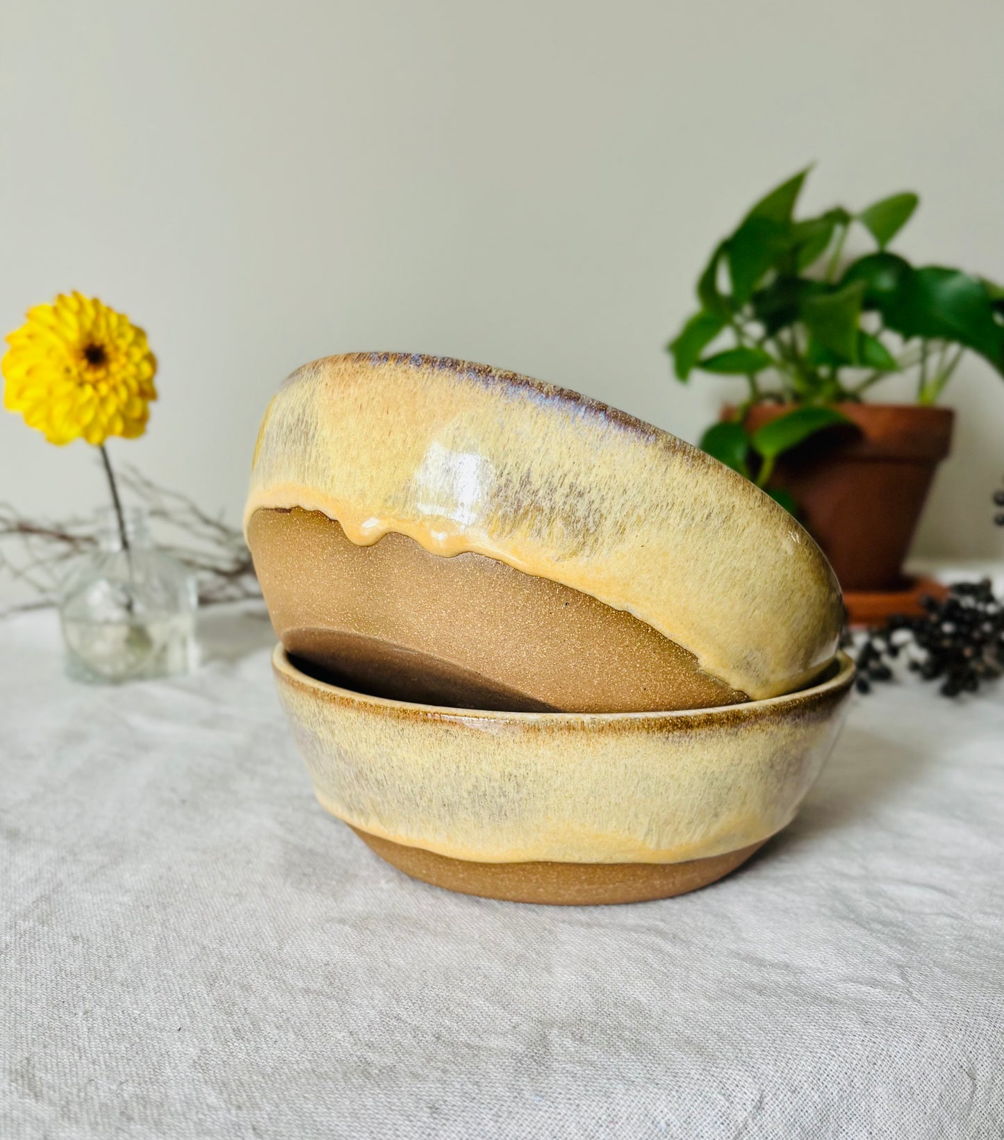 Toasted Honey Cream Blate Set (3 cup capacity)