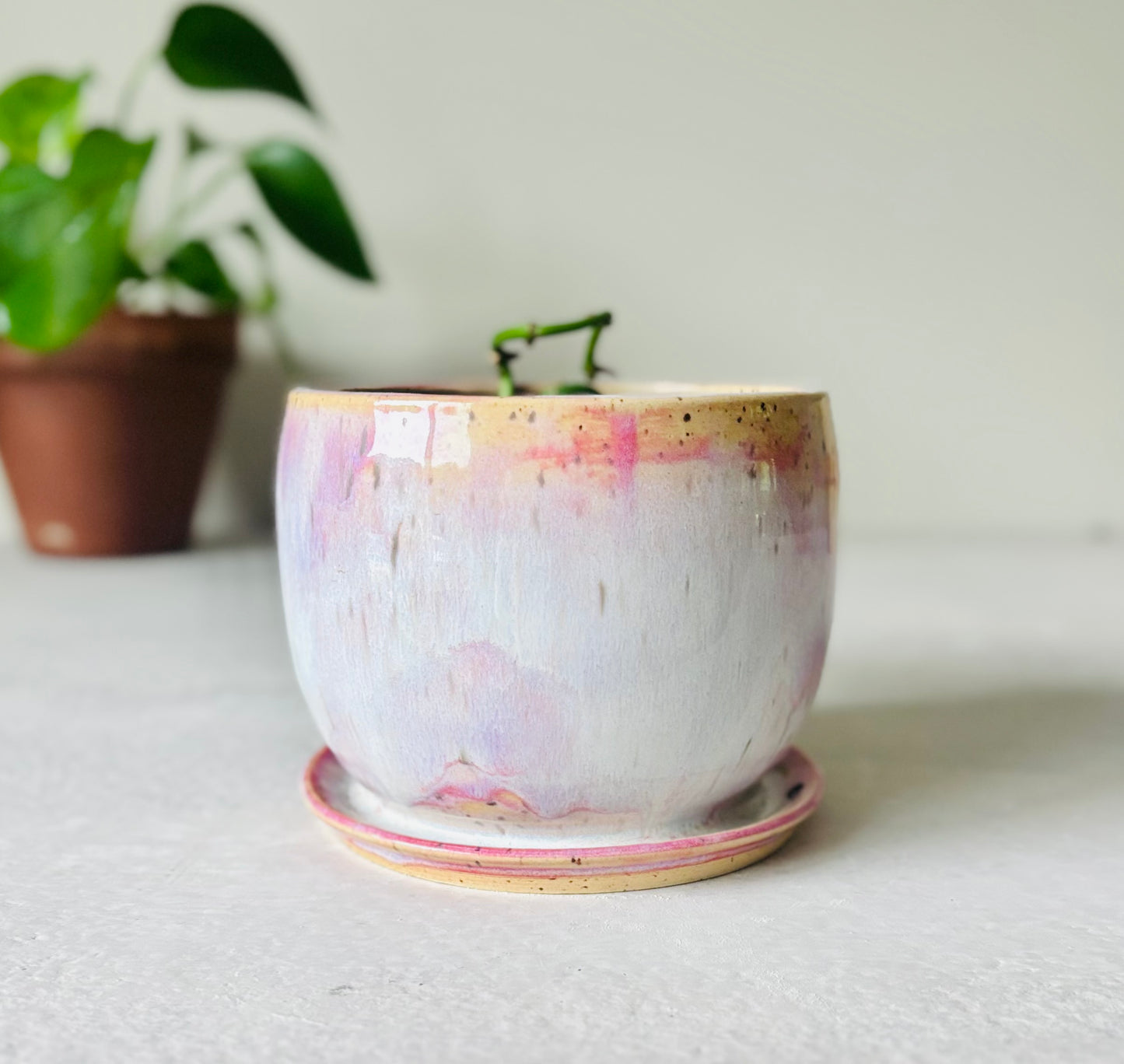 Soft Pink Bubble Planter Holder