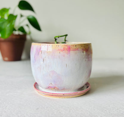 Soft Pink Bubble Planter Holder