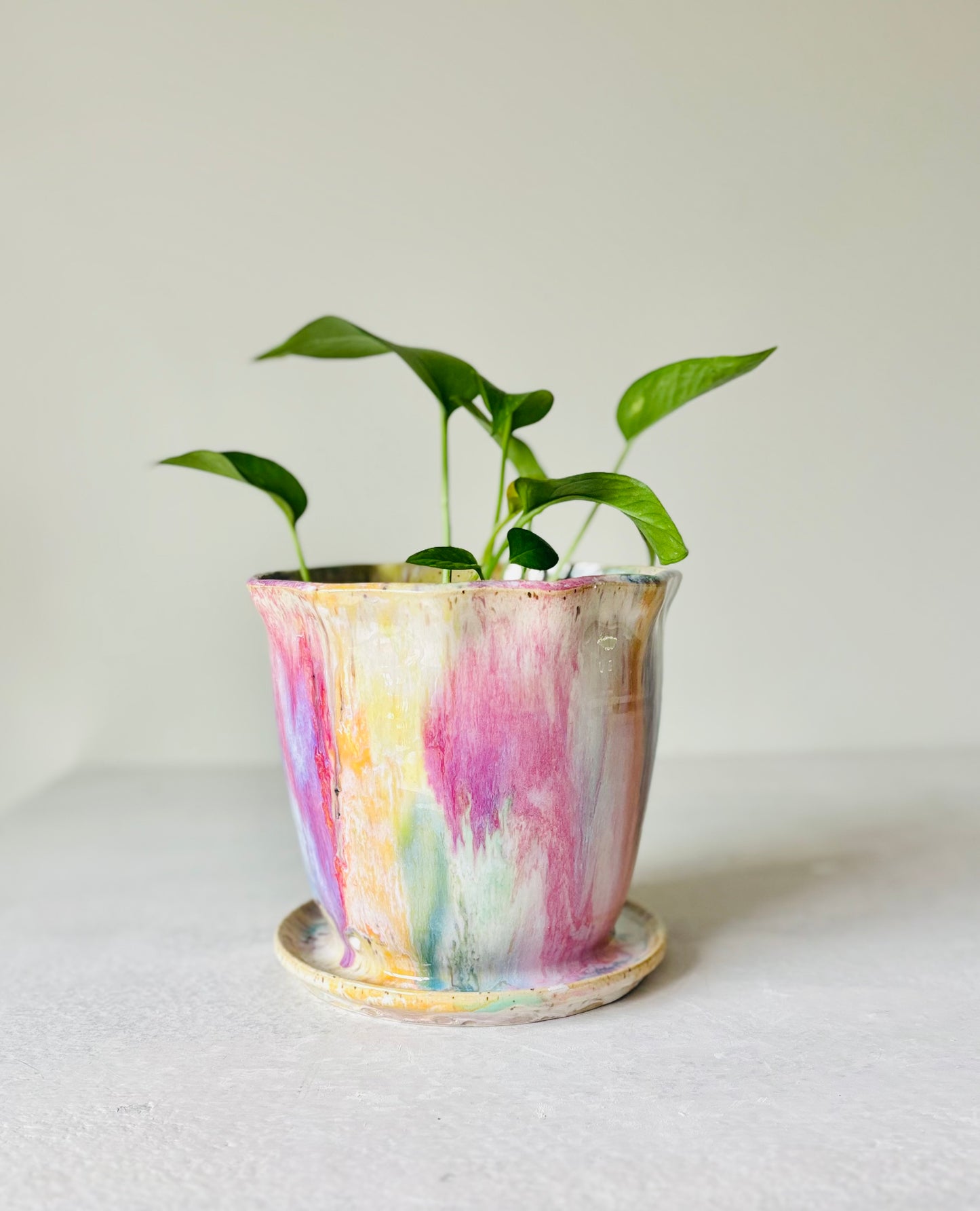 Radiant Rainbow Scalloped Planter