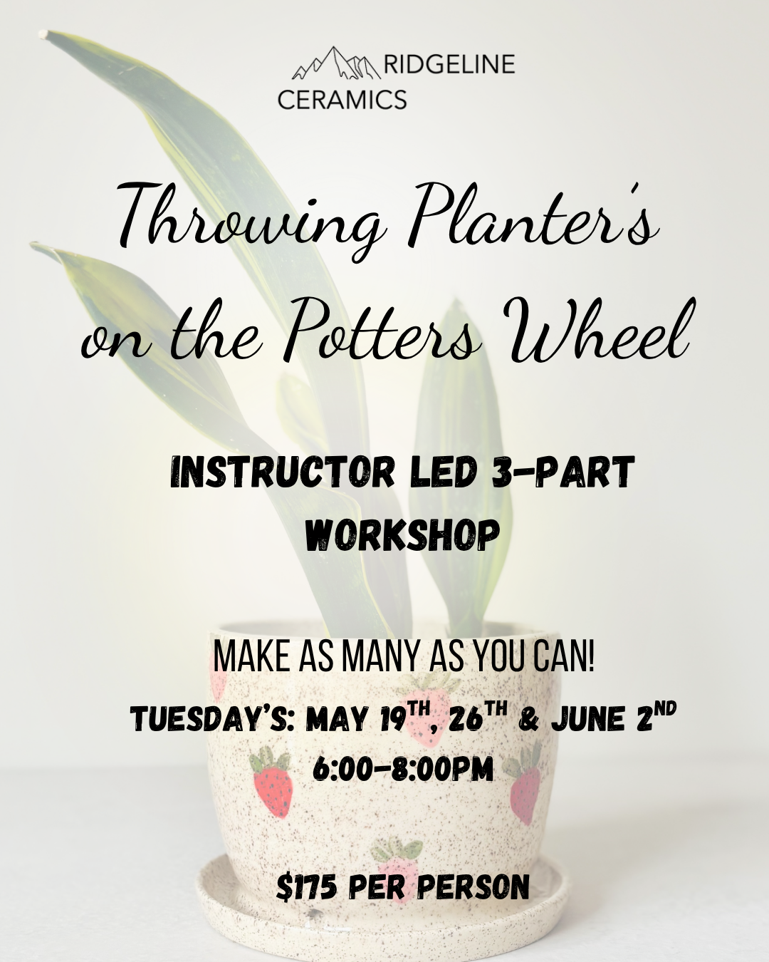 Throwing a Planter on the Potter's Wheel & Glaze Decorating 3-part Workshop